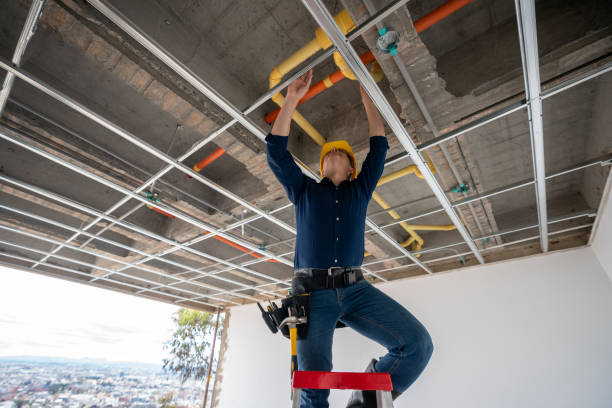 Ball, LA Plumbing Pros